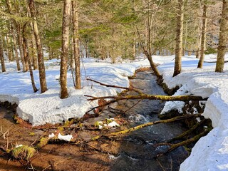 Japan Hokkaido Kaminokoike Pond winter snowshoe trekking with crystal clear blue water