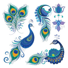 Fototapeta premium Peacock feather pattern vector with ornate floral swirls and vintage decorative background design