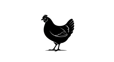 Obraz premium Black Chicken Silhouette Standing Alone.
