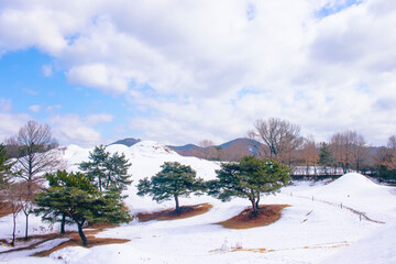 겨울 불로동고분군 언덕