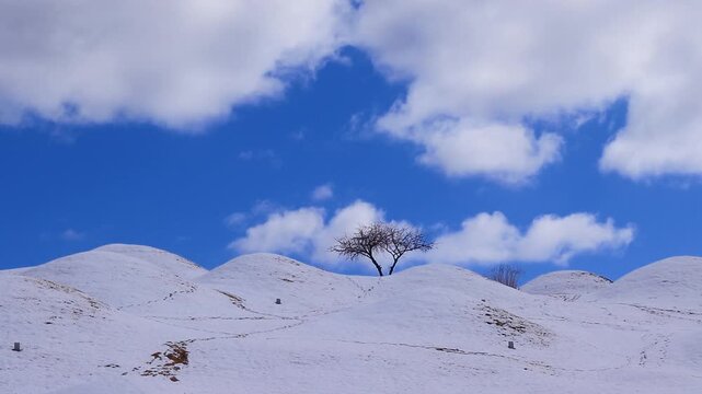불로동 고분군 타임랩스 영상