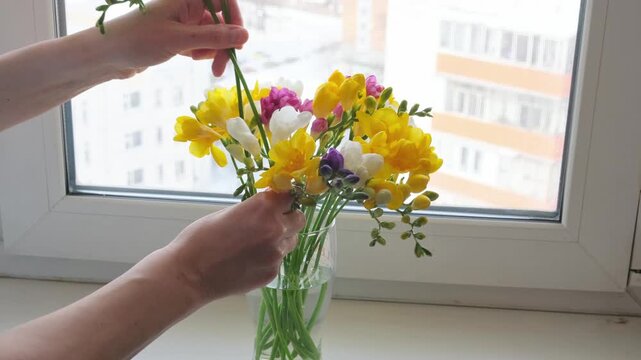 Woman arranging freesia stems in small glass vase on windowsill, side view. Gentle spring decor process in natural daylight at home.