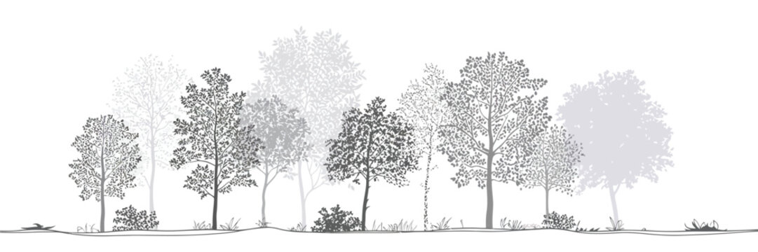 Side View Architectural Tree Drawing, Minimal CAD Forest Line and Wetland Section Set for Landscape Plan, Clean Vector Illustration Design Elements for Garden Planning and Nature Layout