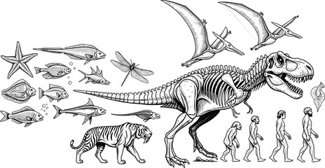 Evolution and Prehistoric Life Vintage Engraving Illustration Set © nice