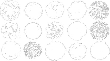 Collection of down tree outlines. Various leaf shapes and branch structures. Simple line view silhouette © Pixel Park