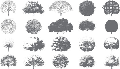Fototapeta premium Collection of diverse grey trees with detailed branches and foliage in a style. Various tree shapes and textures are depicted
