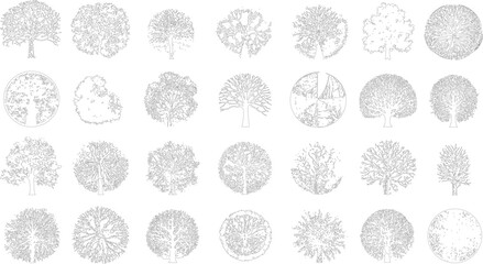Collection of black and white line of various trees viewed from different angles including down and side profiles