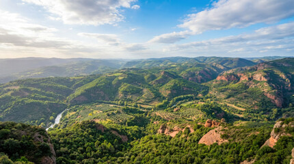 Obraz premium World wetlands day shows a dense green forest canopy stretching towards a bright blue sky with scattered white clouds above the trees
