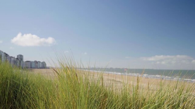 Dune grass on hill with Knokke Beach Belgium in Background