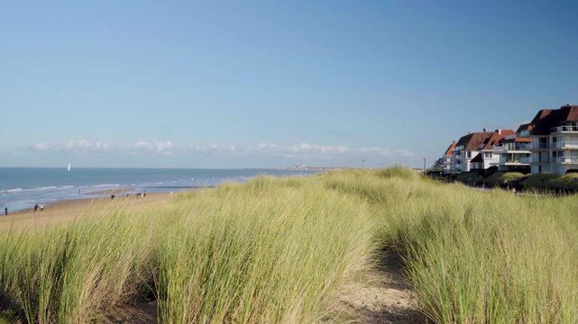 Dune with grass at Knokke beach in Belgium on sunny day