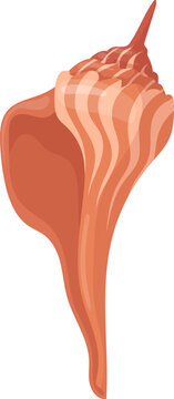 Ocean whelk seashell cartoon icon. Sea mollusk shell