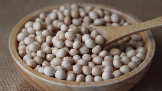 大豆をスプーンで持ち上げる