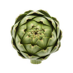 Obraz premium Fresh green artichoke head isolated on transparent background