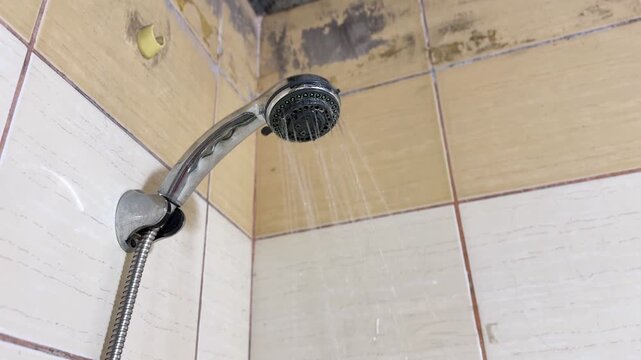 Close-up of dripping shower head releasing light spray on tiled washroom wall, showing damp stains and mildew near ceiling corner under bright indoor lighting.