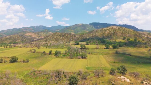 Lush Alexandroupoli landscape recovery one year after wildfires