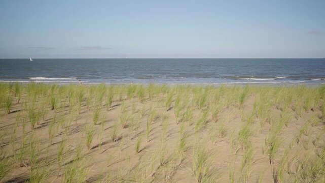 Walking past dune grass at beach in Knokke Belgium on sunny day