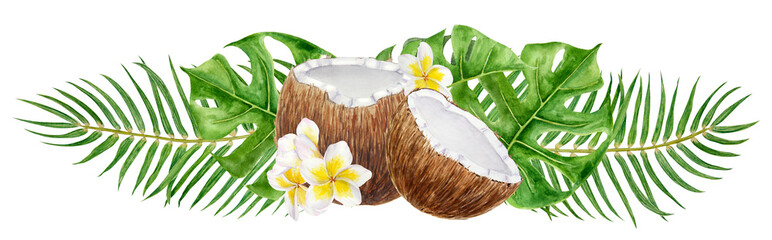 Watercolor tropical banner with coconuts, monstera leaves, palm fronds and plumeria flowers. Hand painted island composition arranged as botanical border for packaging, spa branding and summer layouts © FlorainloveArt
