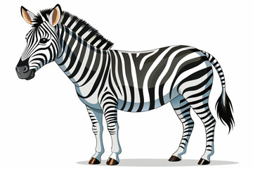 Obraz premium Cartoon Zebra Standing Profile View on White Background animal wildlife