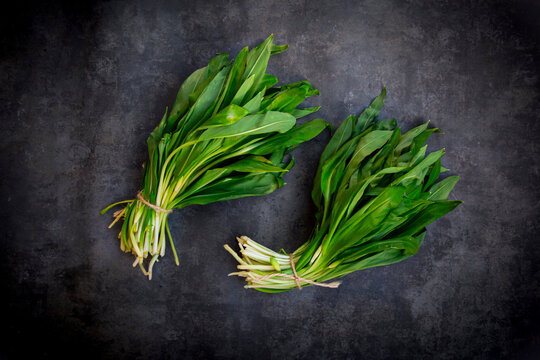 Wild garlic ramson Allium ursinum bundles on black concrete background