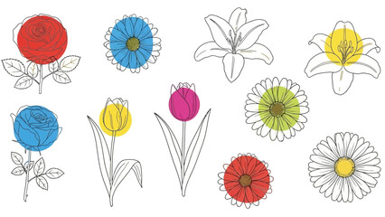 Whimsical floral line art with vibrant pastel color accents and various flower types