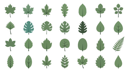A Diverse Collection of Stylized Green Leaf Icons Representing Nature's Variety