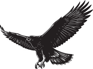 Obraz premium Black silhouette of a hawk flying, isolated on white background.