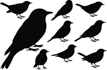 Obraz premium Songbird silhouette collection, garden bird perching poses, spring wildlife graphics, avian nature icons, cad drawing flat vector illustration, black sparrow shapes, wild birds.