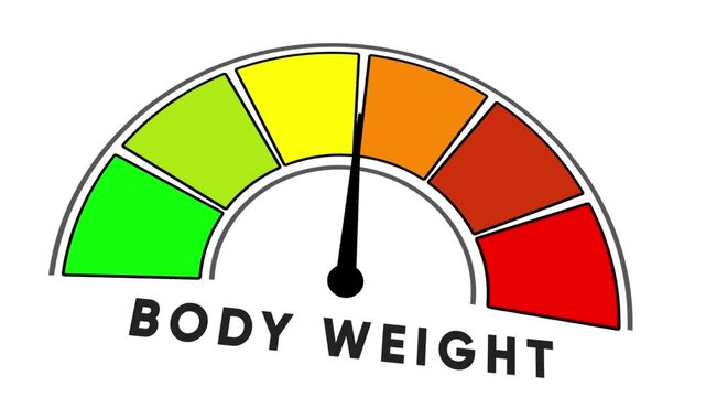 Body weight gauge with needle pointing to green zone on white background meter scale