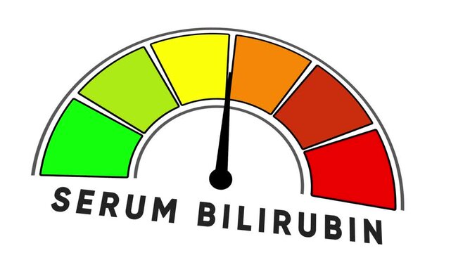 Serum bilirubin gauge with needle pointing to green zone on white background meter scale