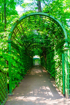 Summer sunny park landscape, city alley with metal fences of berso and deciduous green trees in nice weather