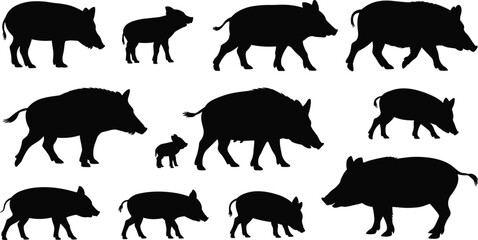 Wild boar and pig silhouette collection with piglets, black swine shapes isolated on white background, farm animal illustration set © Itz Jisan