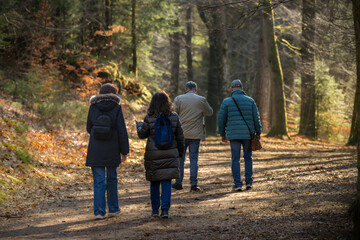 Obraz premium groupe de personnes vue de dos en promenade nature