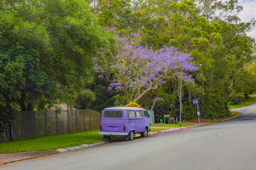 Fototapeta premium A purple van under a tree, purple flowers, in spring.