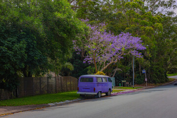 Obraz premium A purple van under a tree, purple flowers, in spring.