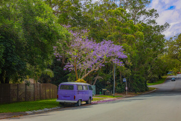 Fototapeta premium A purple van under a tree, purple flowers, in spring.