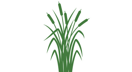 Fototapeta premium Green Cattail Plant with Bullets Isolated.