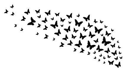 Obraz premium Swarm of silhouette Butterflies: A mesmerizing display of silhouette butterflies takes flight, evoking a sense of grace and transformation against the bright.