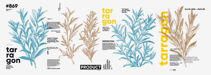 Illustration featuring detailed tarragon sprigs with leaves in a modern design layout. The artwork combines botanical elements with typography, creating a stylish visual.