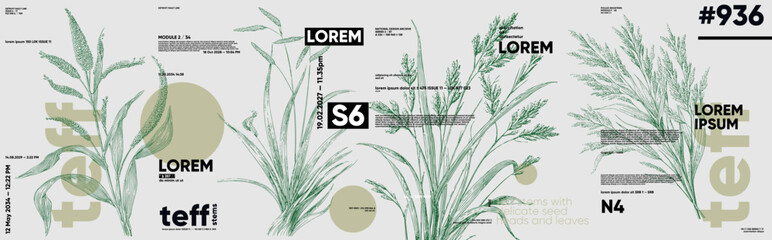 Illustration featuring botanical elements with text overlays, combining modern typography and natural motifs. The design includes abstract shapes and detailed plant drawings.