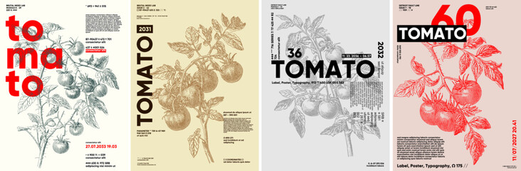 A series of four vintage-style posters featuring tomato illustrations with bold typography. Each design showcases intricate line art of tomato plants, creating a retro aesthetic.