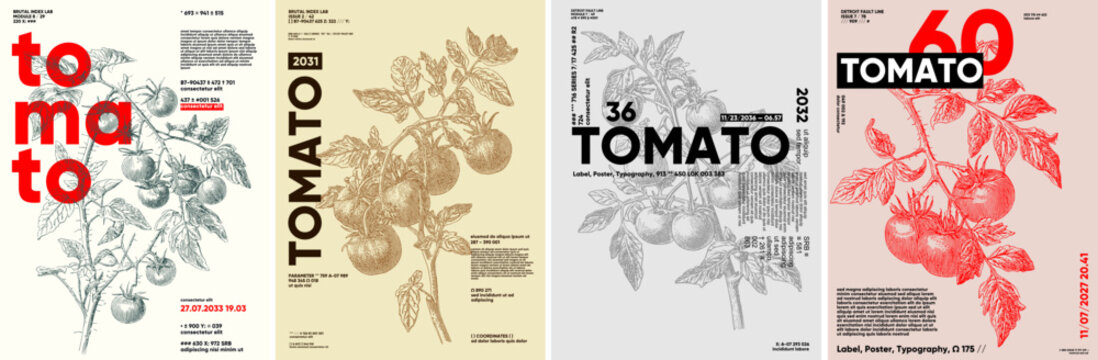 A series of four vintage-style posters featuring tomato illustrations with bold typography. Each design showcases intricate line art of tomato plants, creating a retro aesthetic.