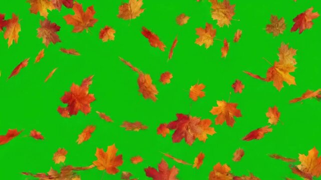 Vibrant autumn leaves falling against green background