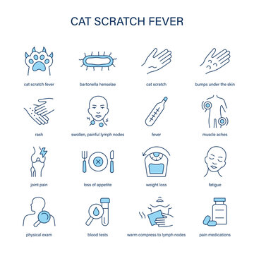 Cat Scratch Fever symptoms, diagnostic and treatment vector icon set