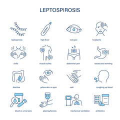 Leptospirosis symptoms, diagnostic and treatment vector icon set