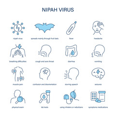 Nipah Virus symptoms, diagnostic and treatment vector icon set