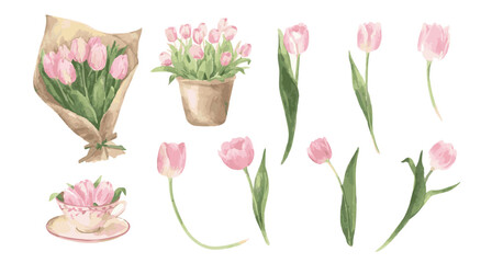 Watercolor pink tulips clip art set with bouquet, pot teacup, single blooms. Collection of Vector illustrations. Perfect for invitation, card, poster, banner, decoration © maria