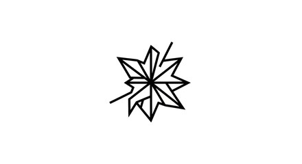 Fototapeta premium Abstract Star Burst Line Art Graphic Design Element on White Background