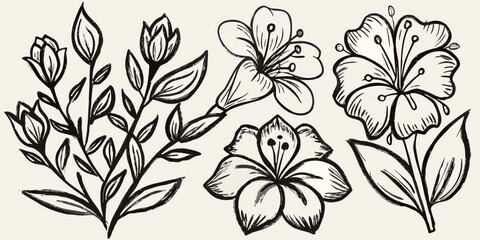 Detailed black and white botanical illustration featuring various flowers and leafy stems