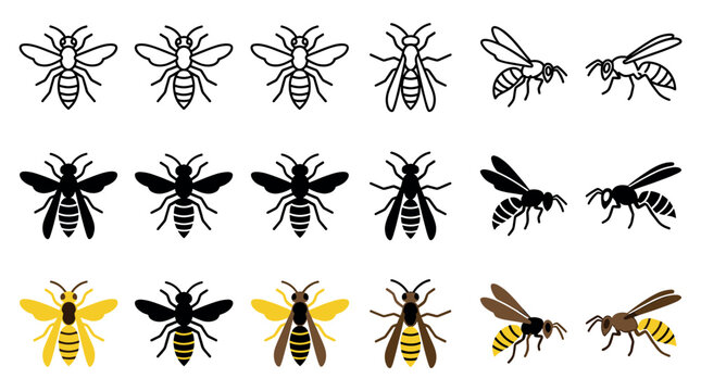 Various stylized bee and wasp insect icons are presented in a comprehensive collection, showcasing outline, solid black, and colored designs from multiple perspectives