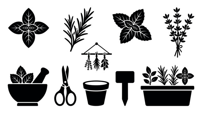 Various black silhouette icons representing culinary herbs and gardening tools are neatly arranged, showcasing different stages from growing to preparing, in a clean, graphic vector style